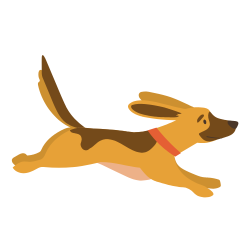 R³ training (Rapid Reliable Recall)